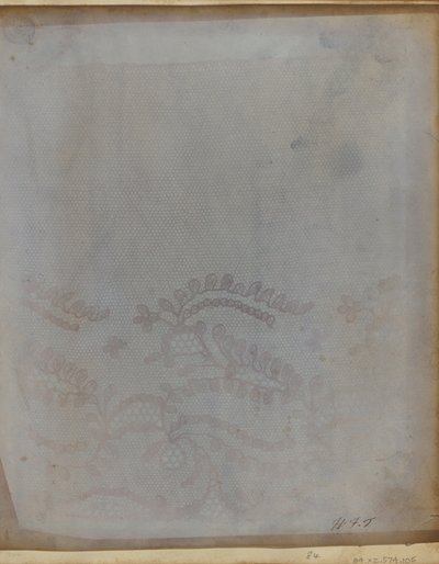 A Fragment of Lace by William Henry Fox Talbot